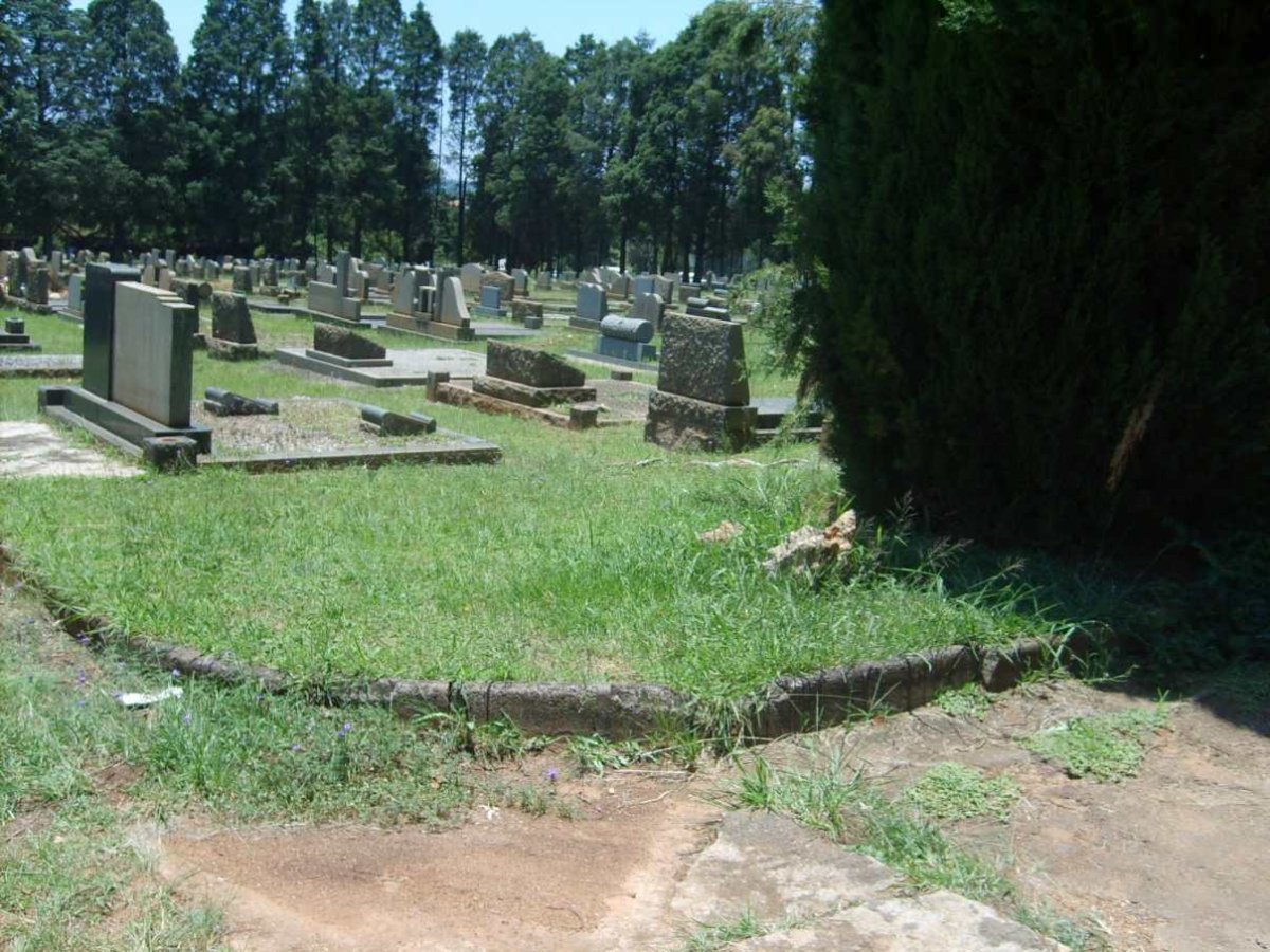 2. Overview