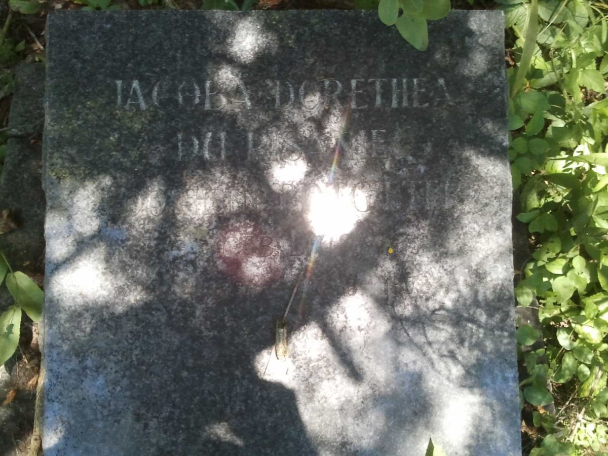 PISANIE Jacoba Dorethea, du voorheen POTGIETER 1896-1972