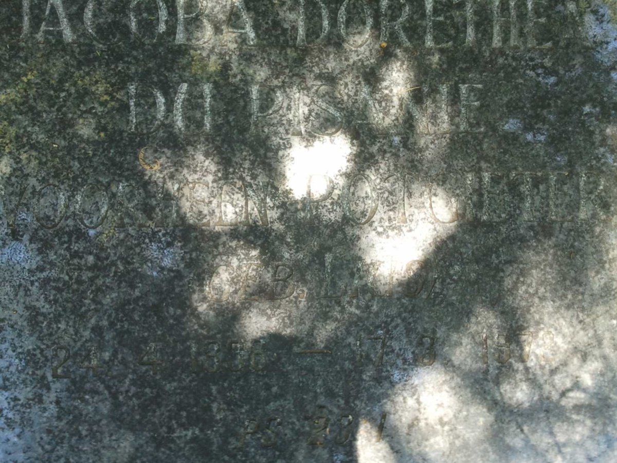 PISANIE Jacoba Dorethea, du voorheen POTGIETER 1896-1972