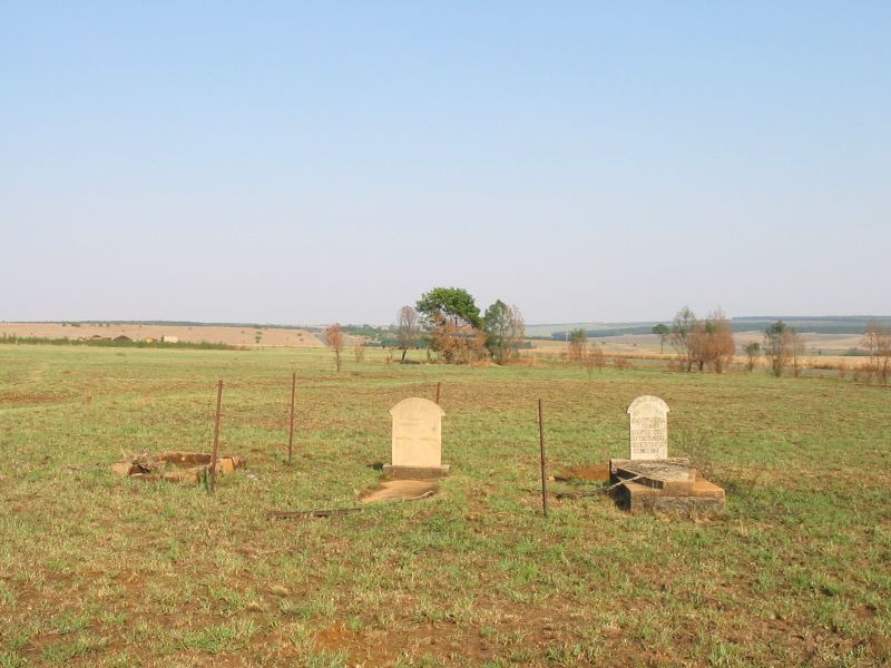 2. Oorsig - grafte