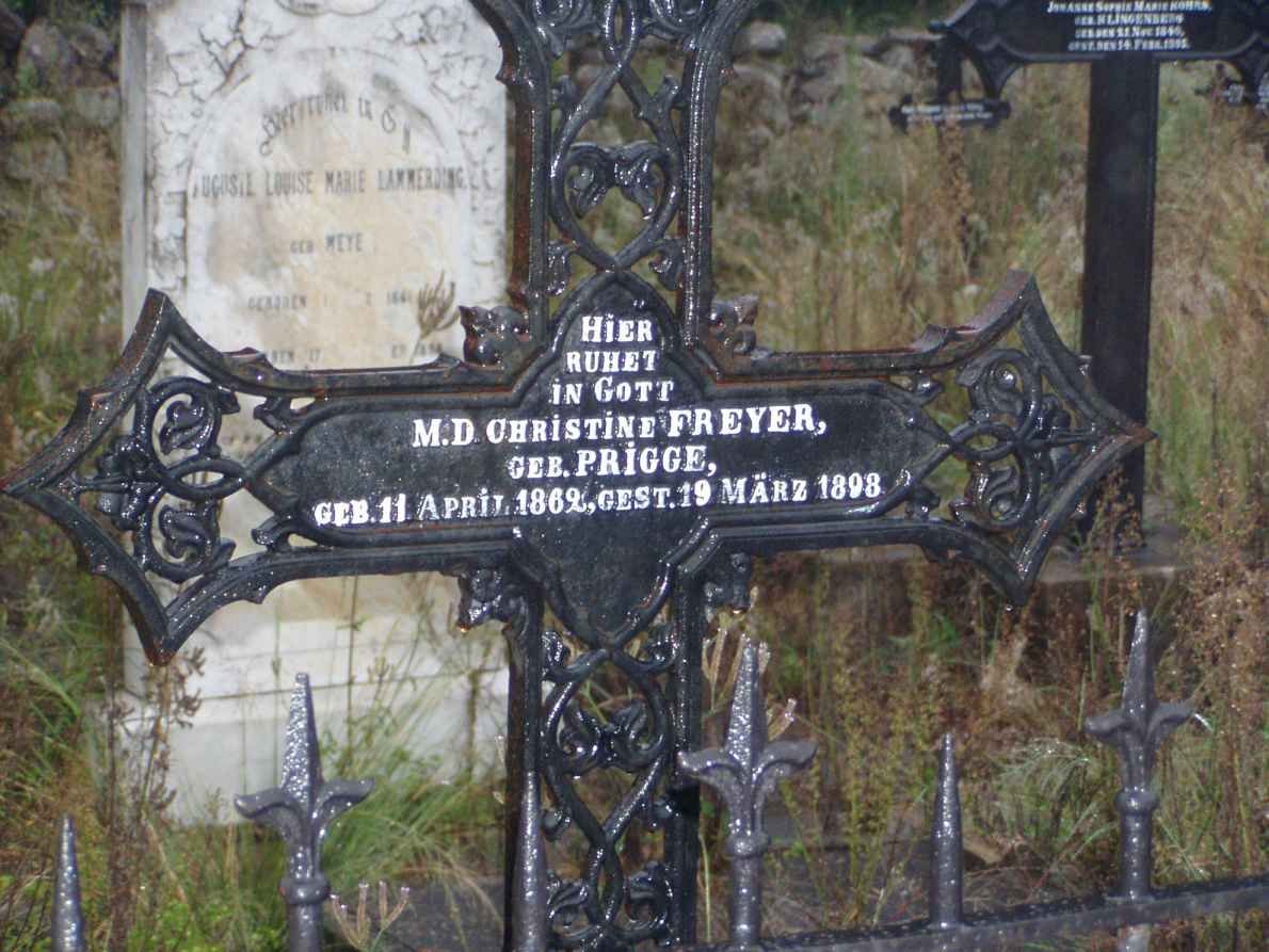 FREYER M. D. Christine nee PRIGGE 1862-1898