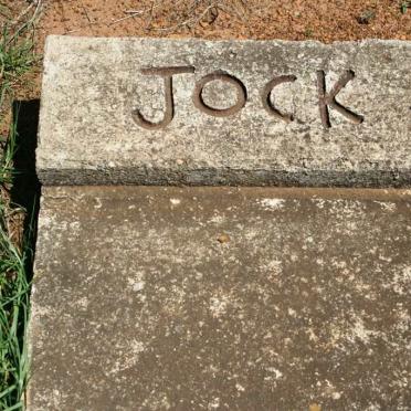JOCK