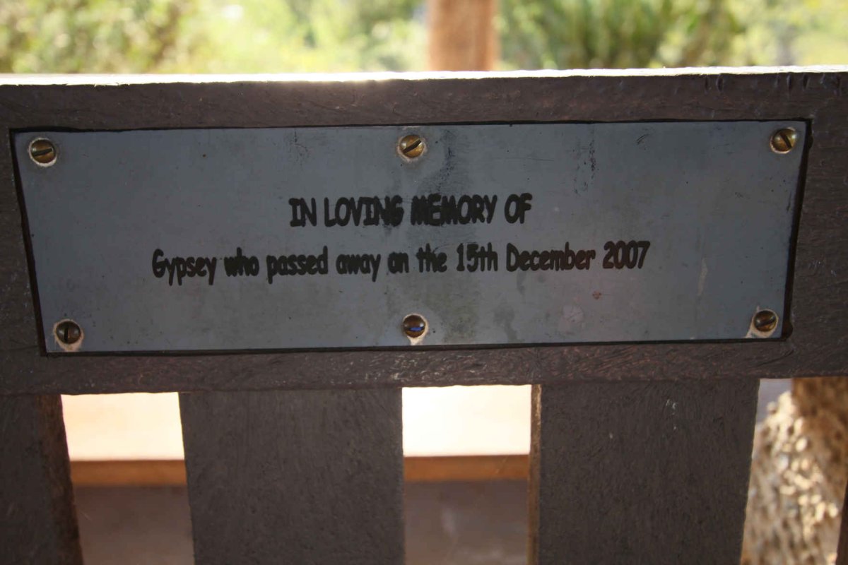 ? Gypsey -2007