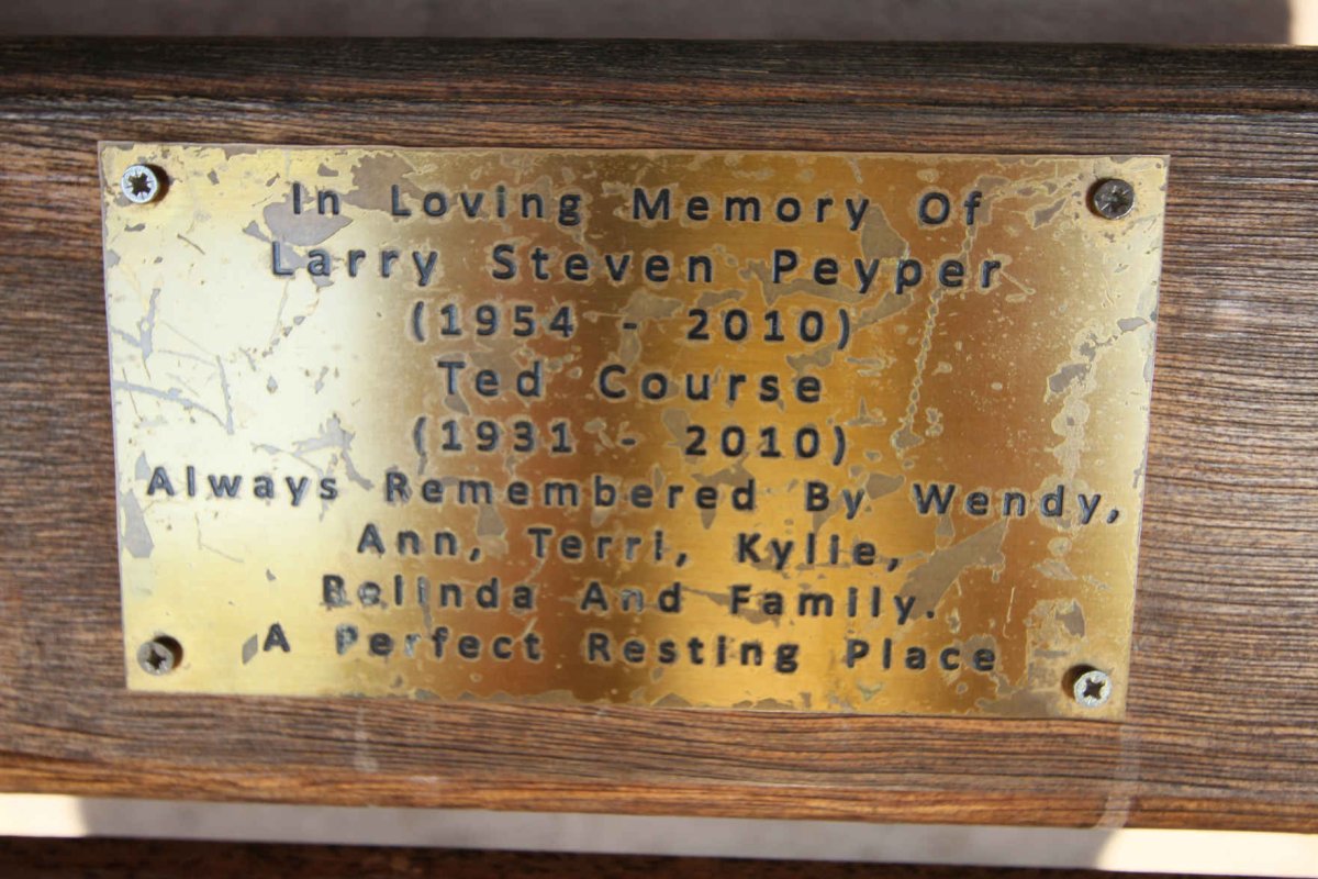 PEYPER Larry Steven 1954-2010 :: COURSE Ted 1931-2010