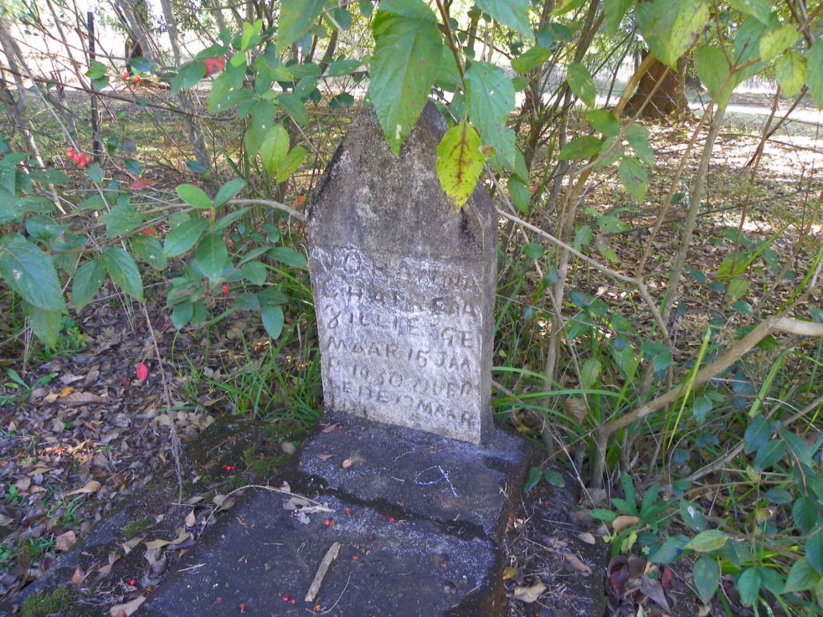 ZILLIE Johanna Chatrena 1930-1930