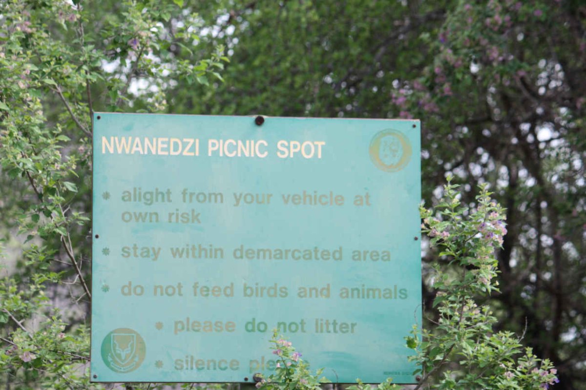 2. Nwanedzi Picnic spot
