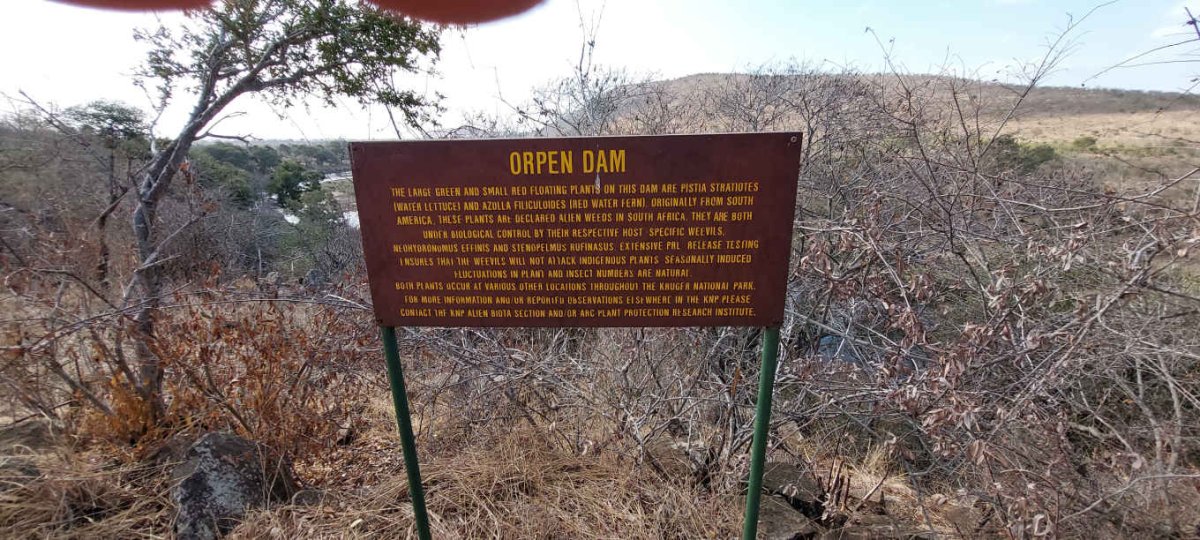 1. Oorsig / Overview