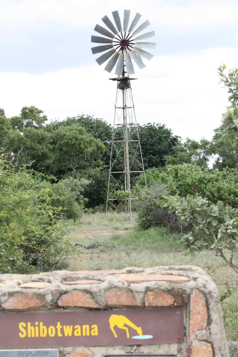 1. Overview on Shibotwana