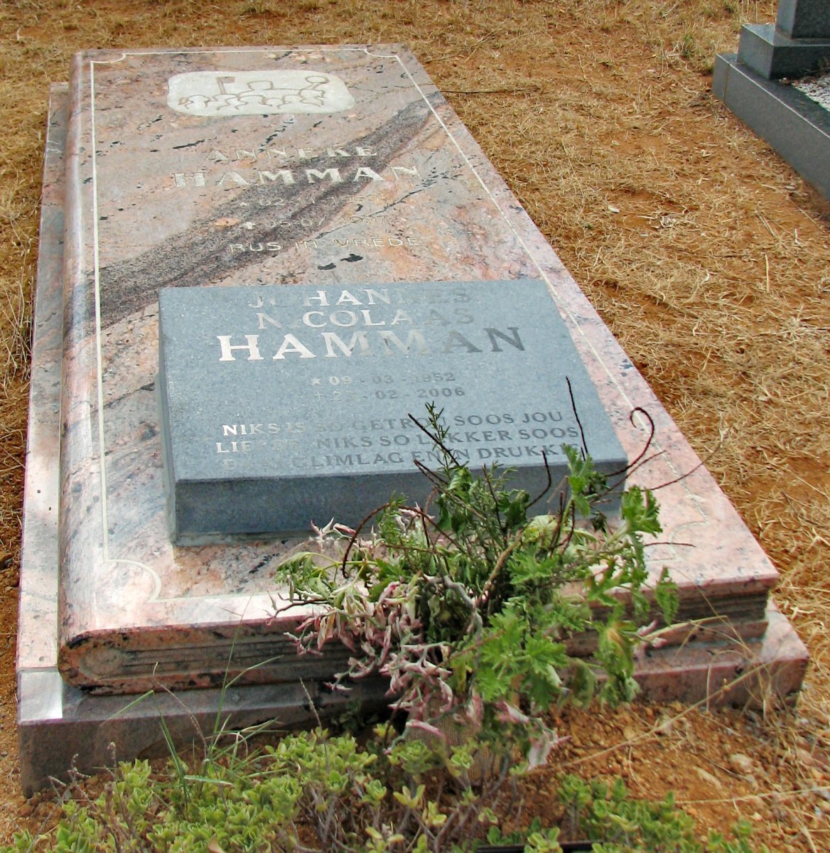 1. Overview