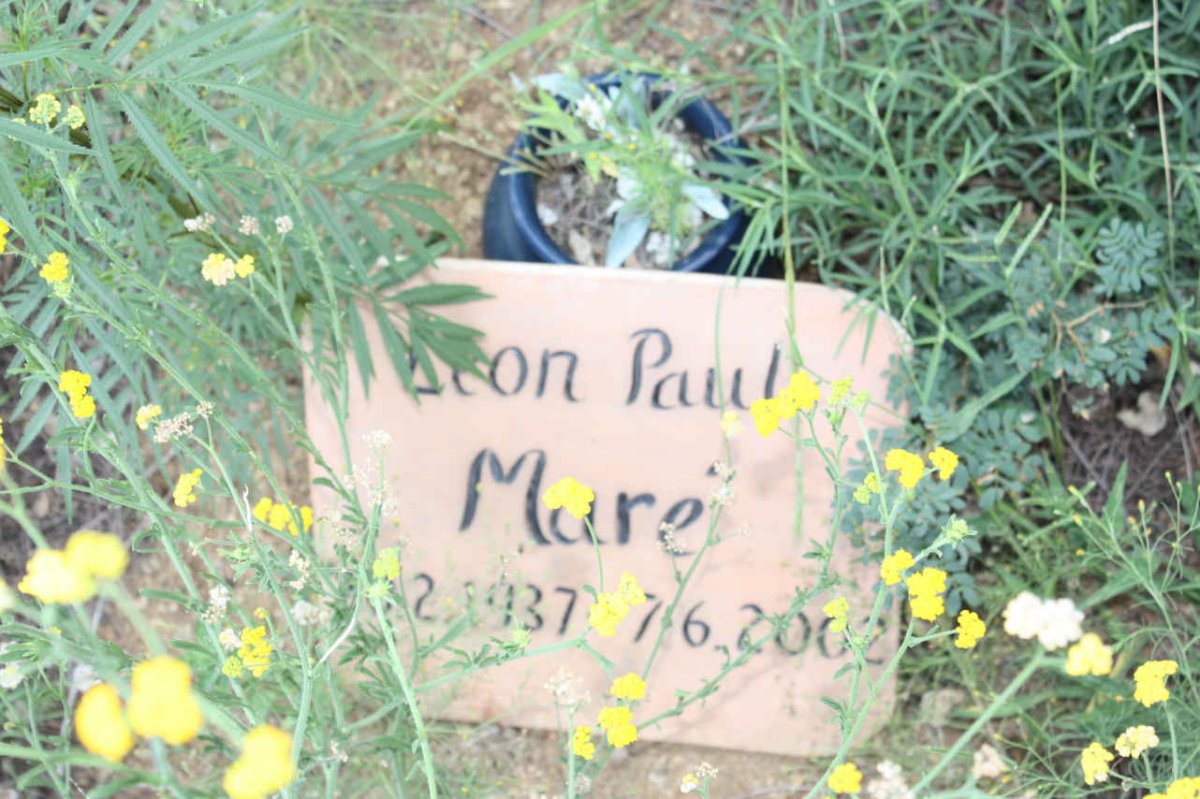 MARÉ Leon Paul 1937-2002