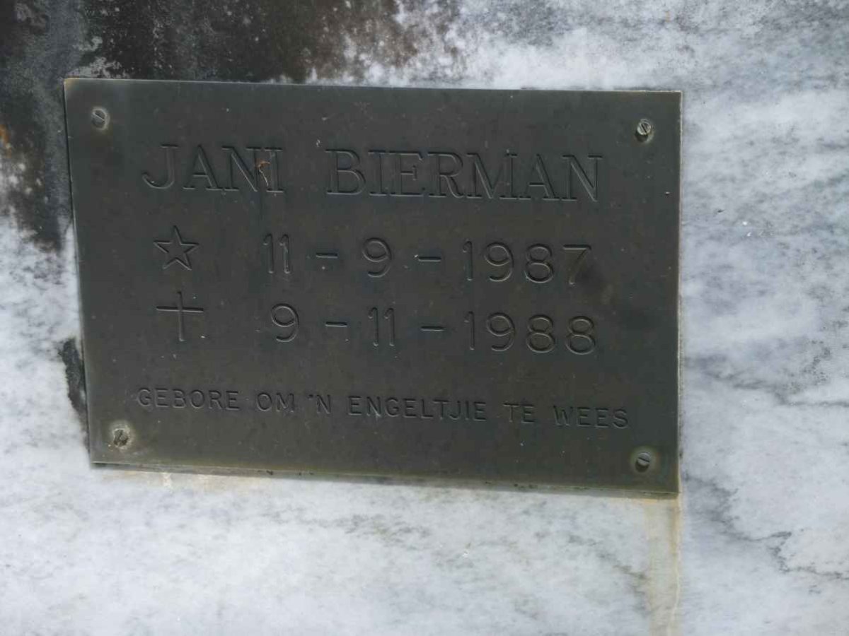 BIERMAN Jani 1987-1988