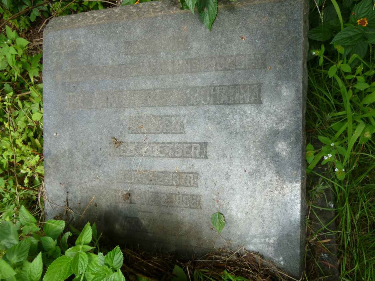 JANSEN Hendrina Gertina Johanna nee COETSER 1878-1955
