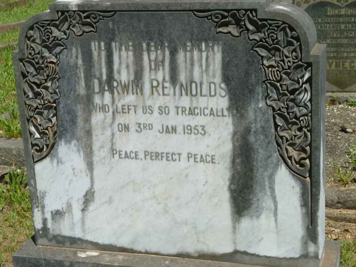 REYNOLDS Darwin -1953