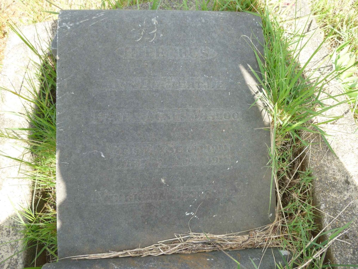 VOSLOO Ellen Agnus 1911-1914