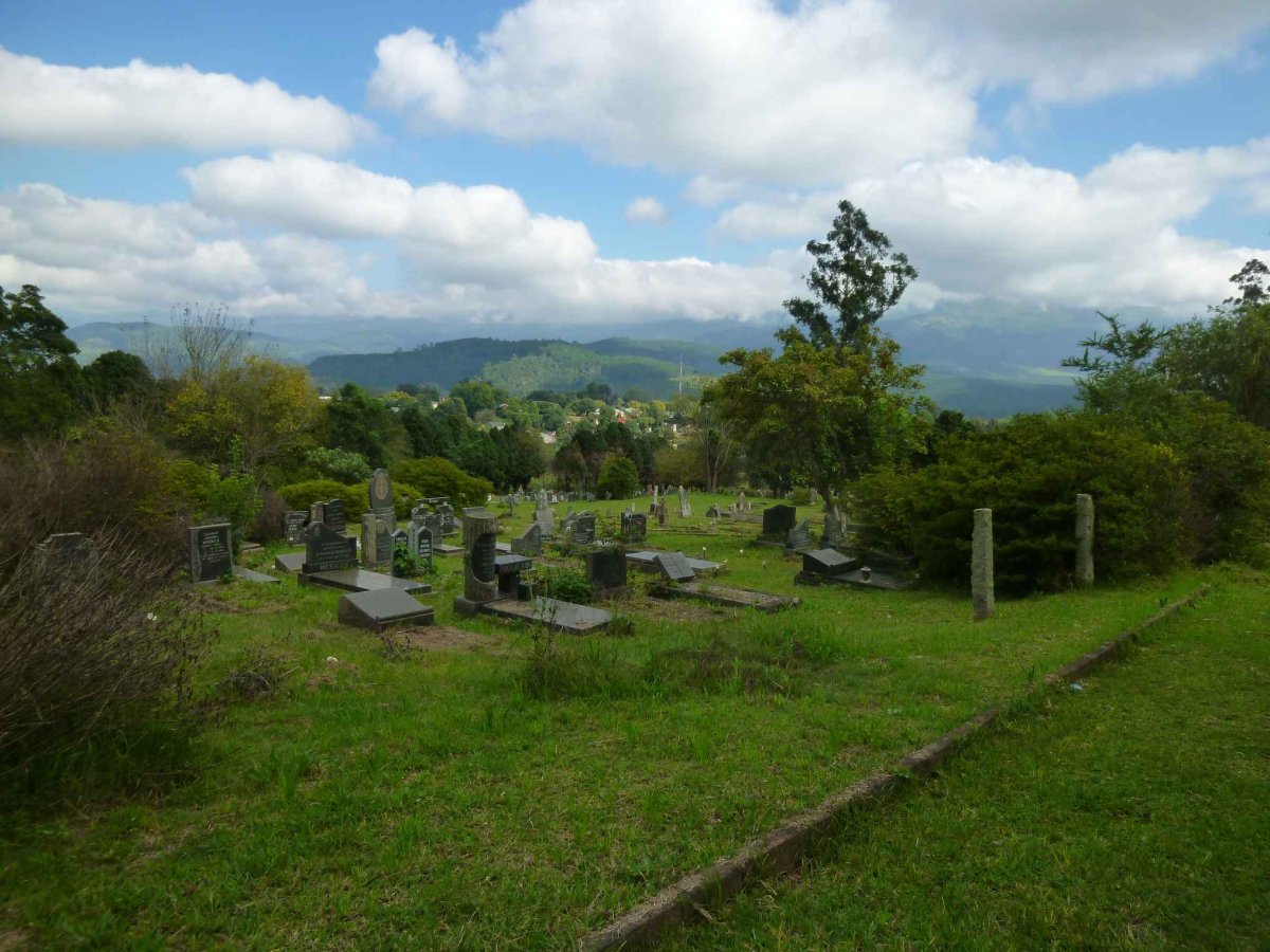 1. Overview