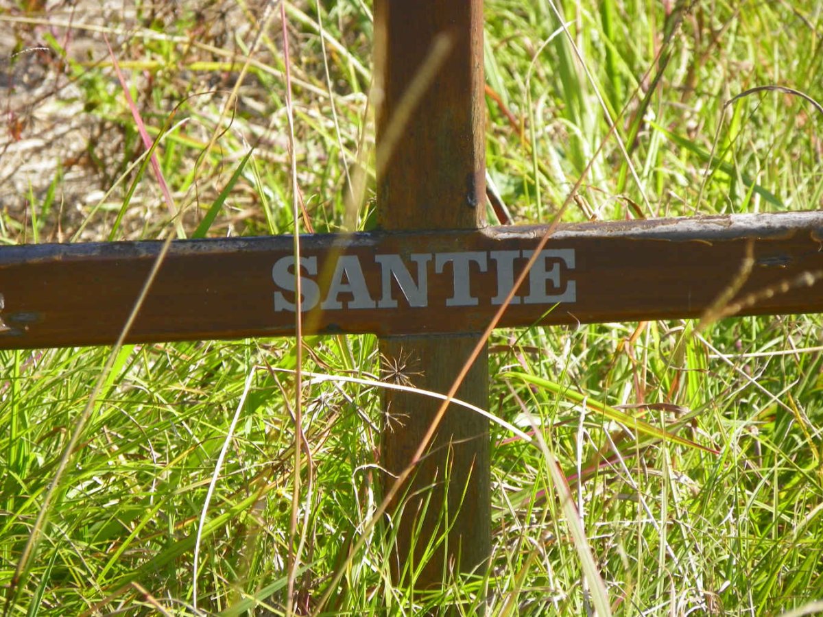 ? Santie