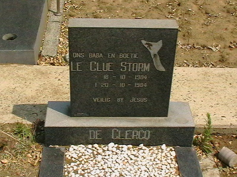 CLERCQ Le Clue Storm, de 1984-1984