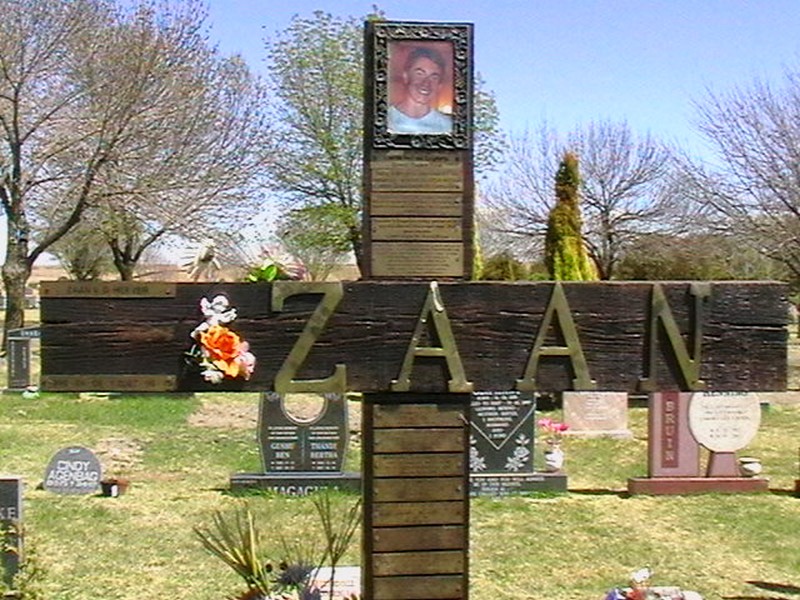 HEEVER Zaan, van der 1990-2007
