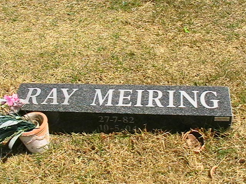 MEIRING Ray