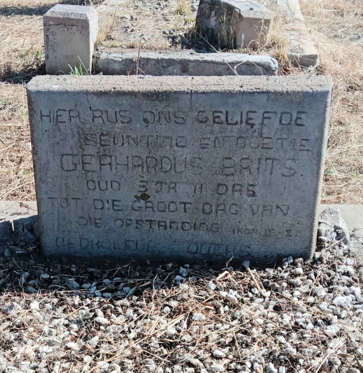 BRITS Gerhardus ?