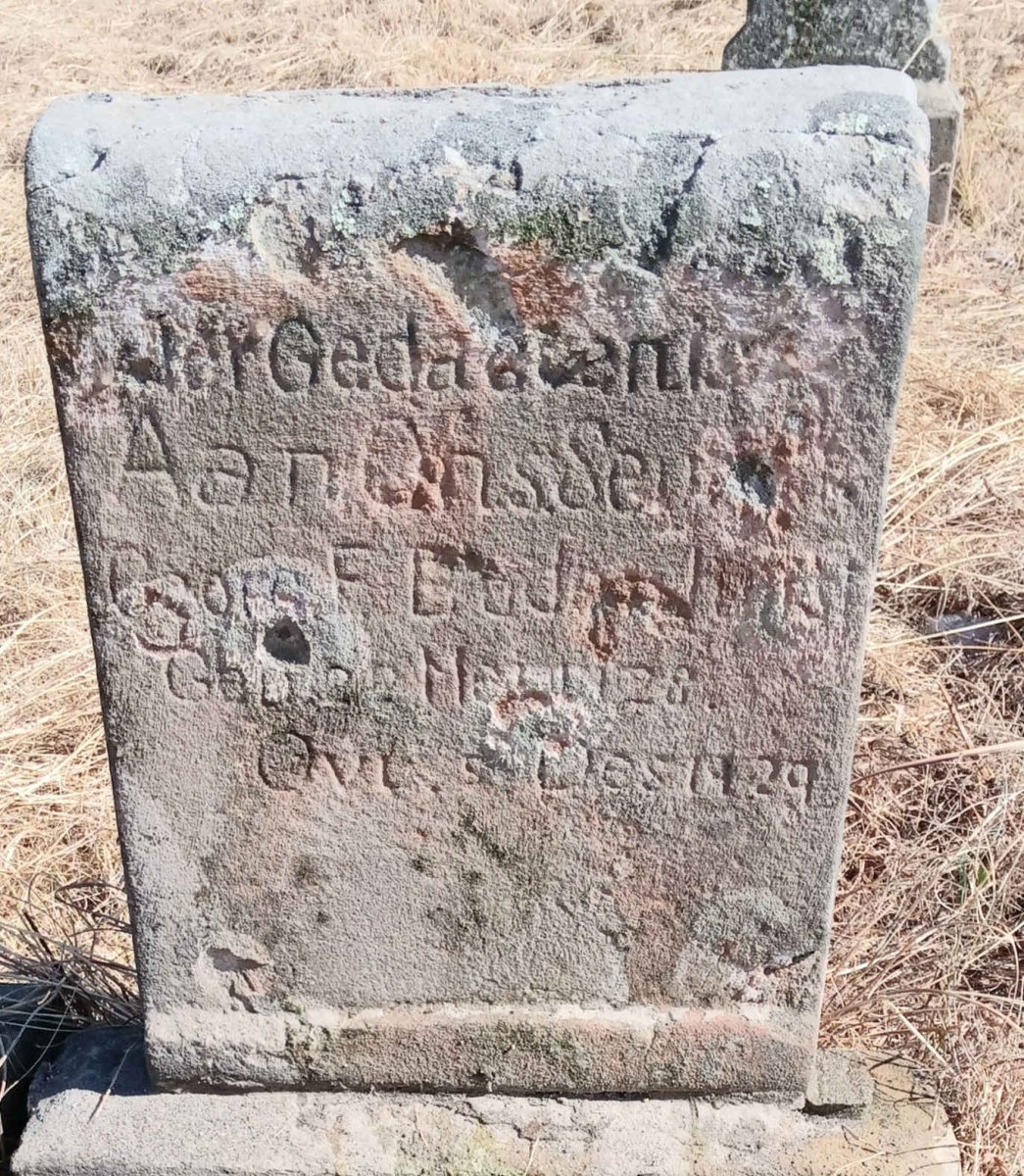BADENHORST G.F. 1928-1929