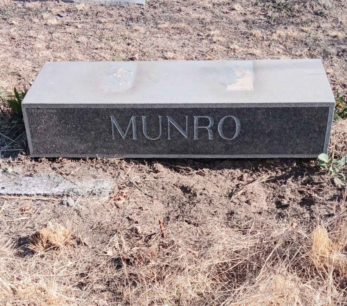 MUNRO ?
