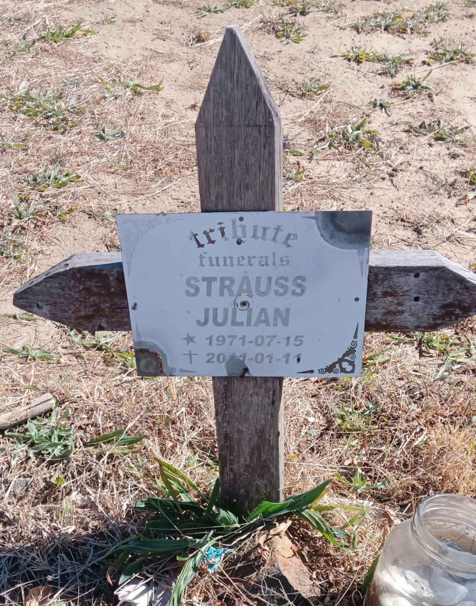 STRAUSS Julian 1971-2011