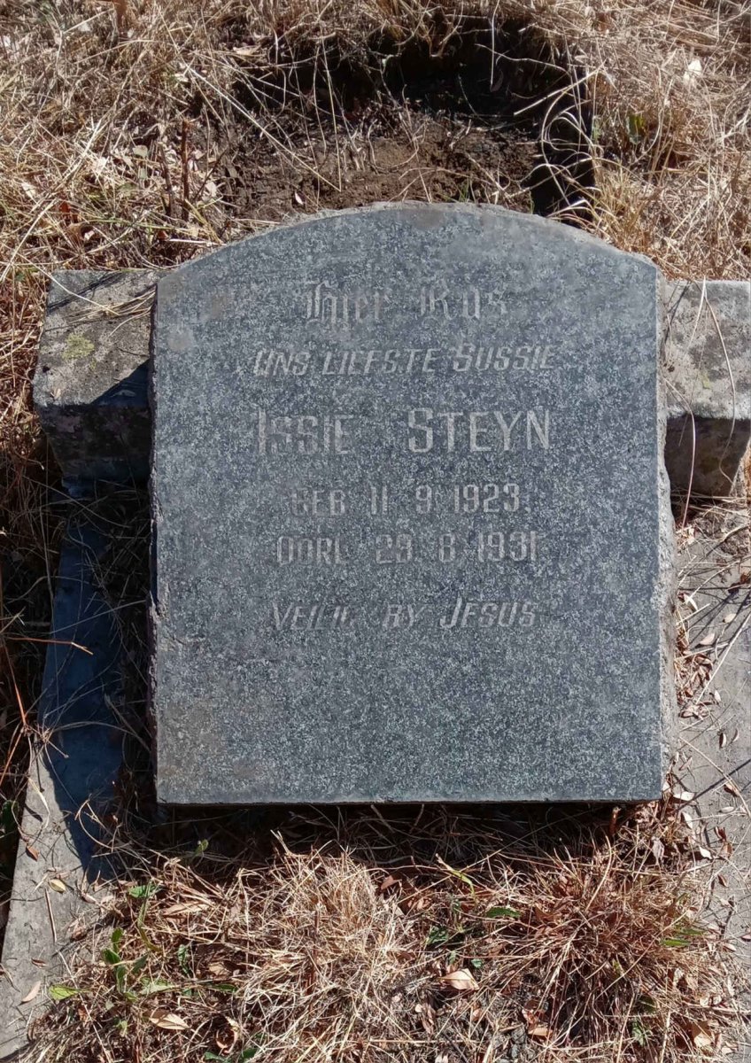 STEYN Issie 1923-1931