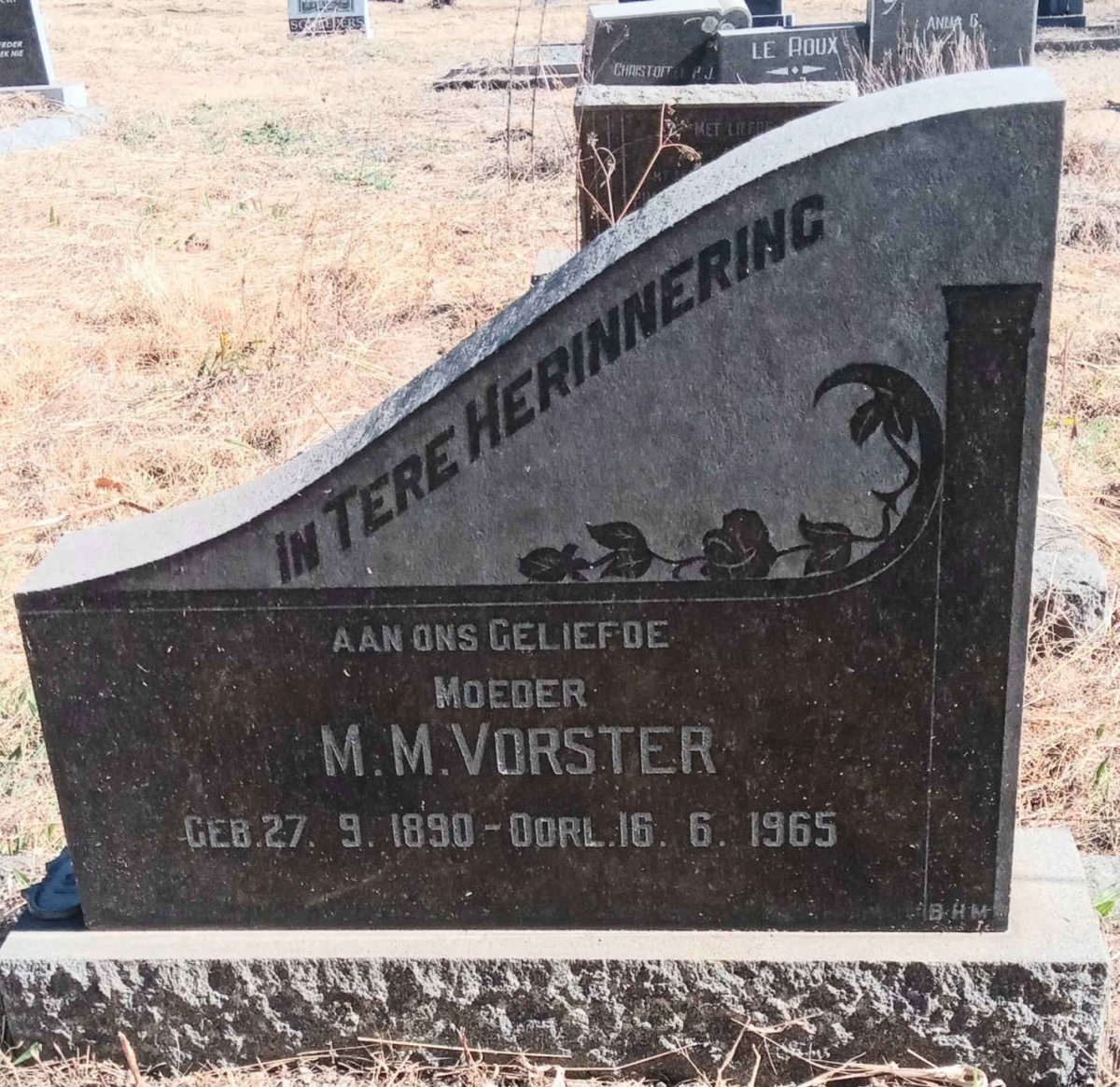 VORSTER M.M. 1890-1965
