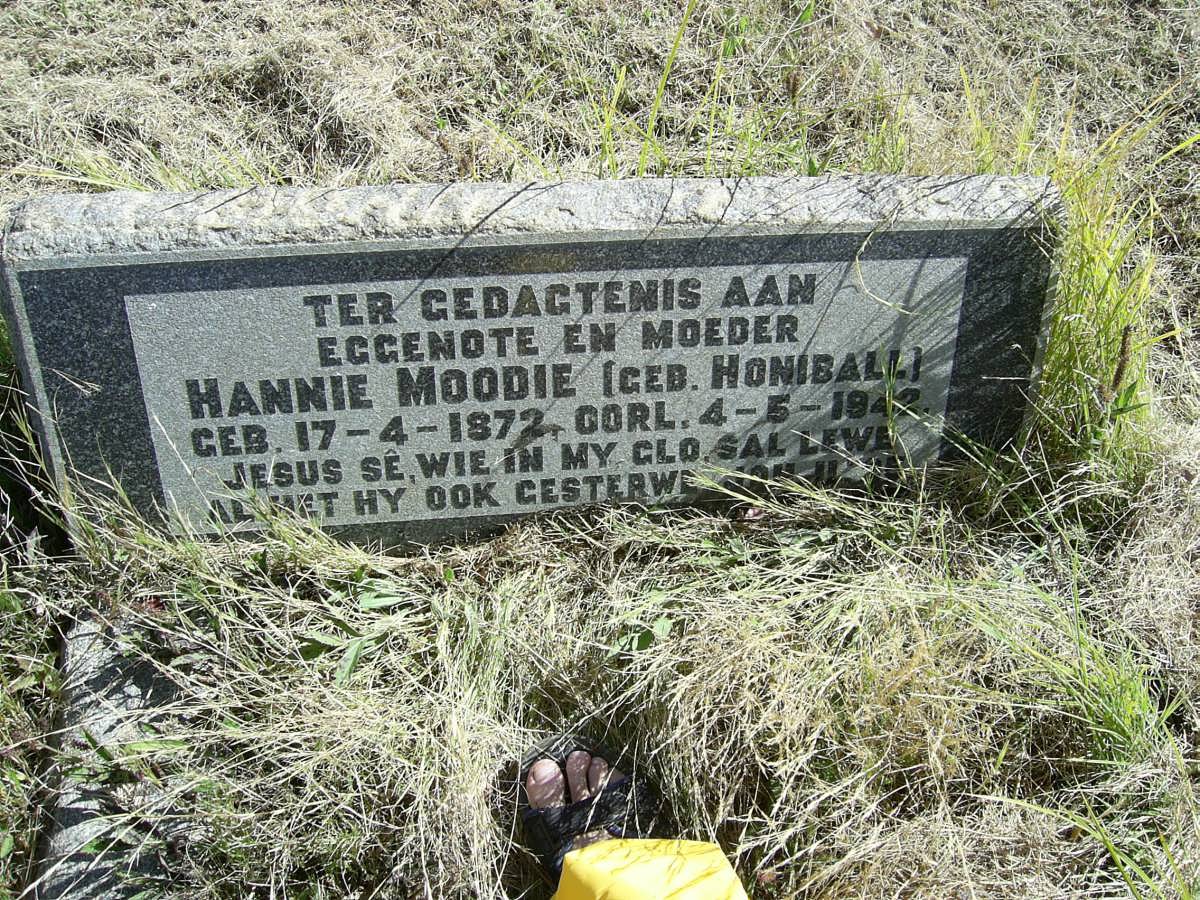 MOODIE Hannie nee HONIBALL 1872-1942