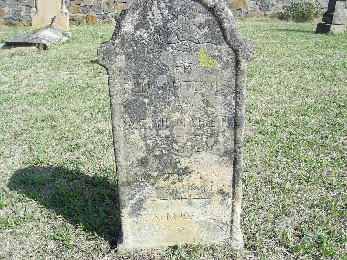 NIENABER A.E. 1872-1900