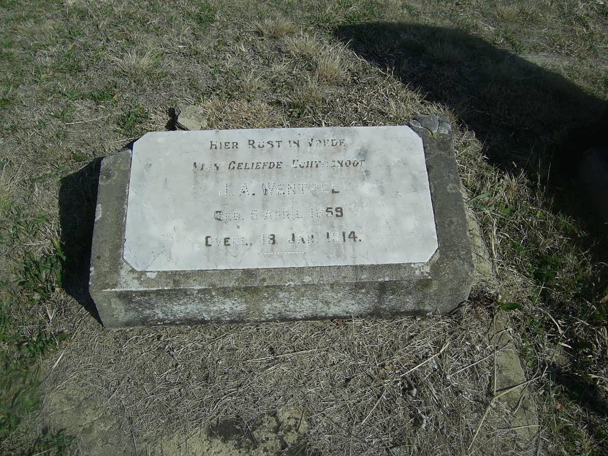 WENTZEL J.A. 1859-1914