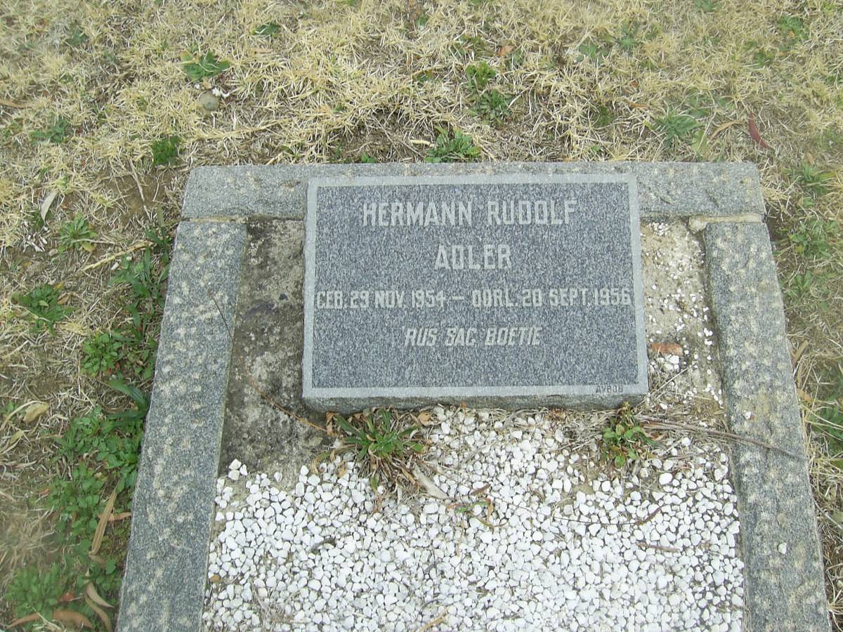 ADLER Hermann Rudolf 1954-1956