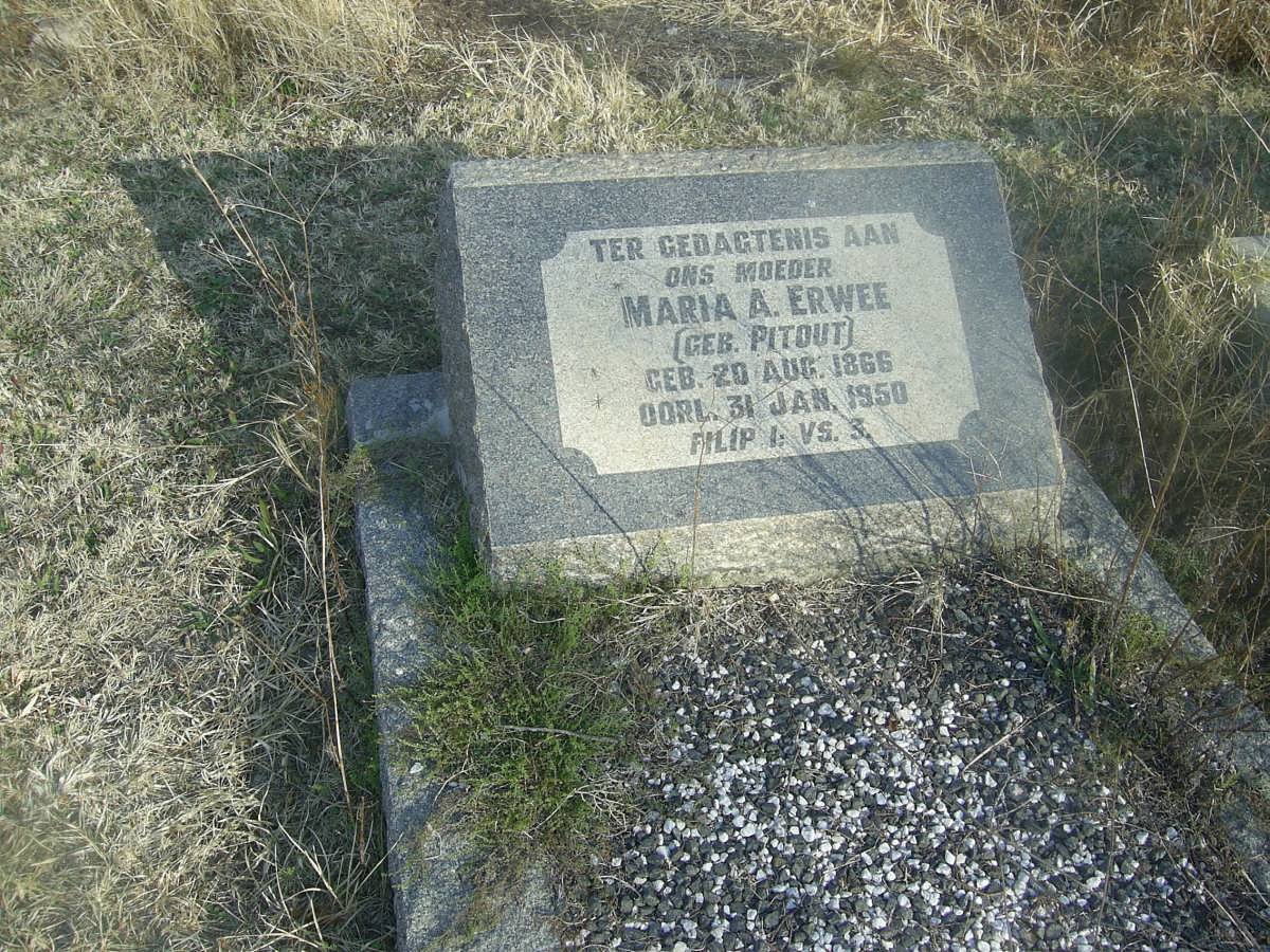 ERWEE Maria A. nee PITOUT 1866-1950