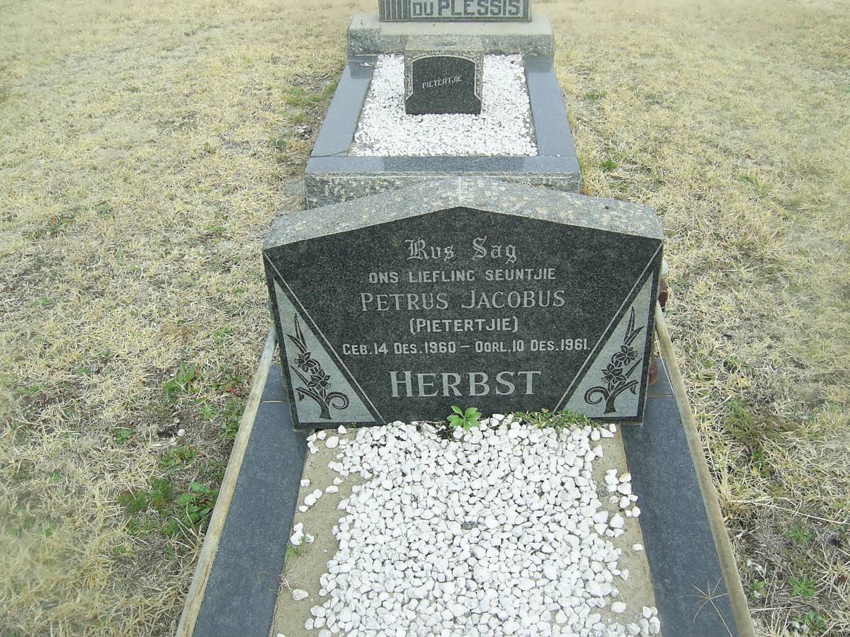 HERBST Petrus Jacobus 1960-1961