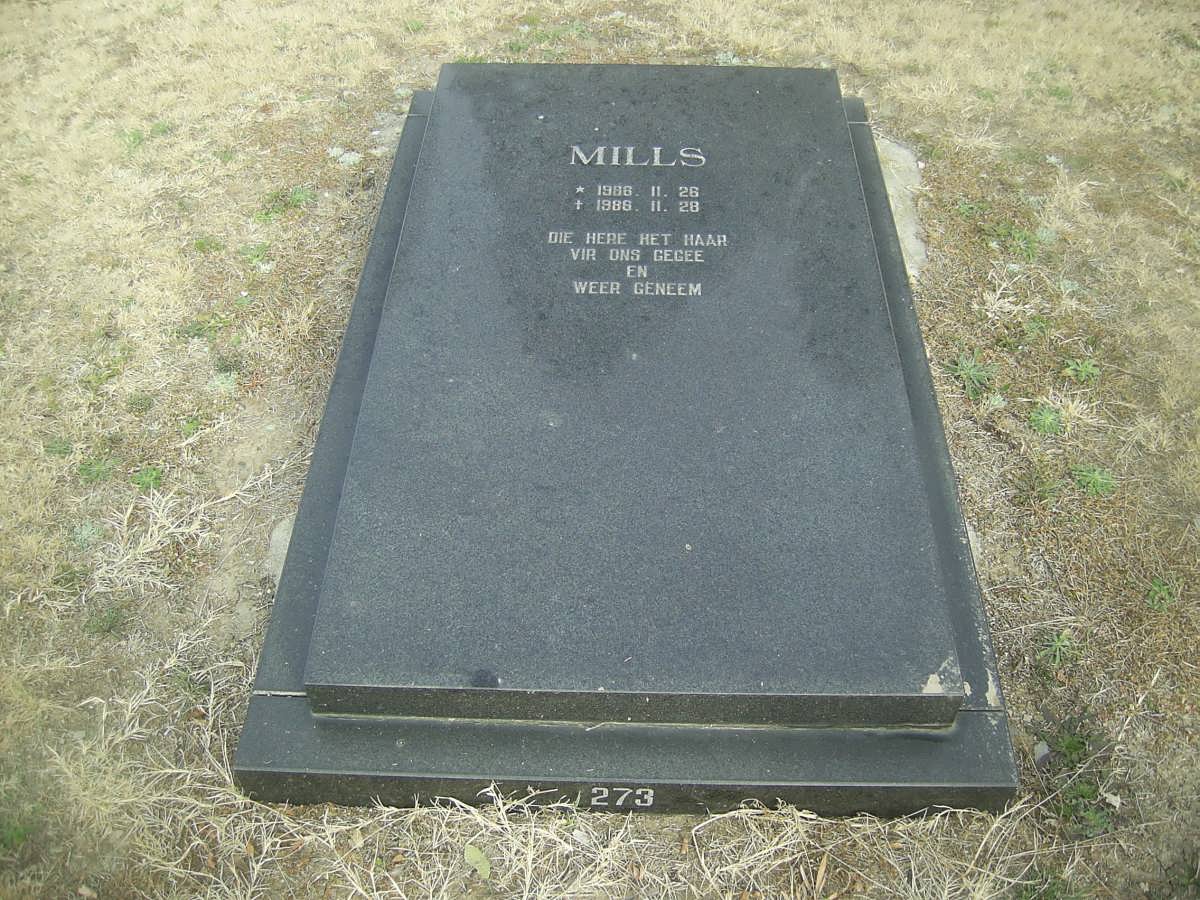 MILLS Baby 1986-1986