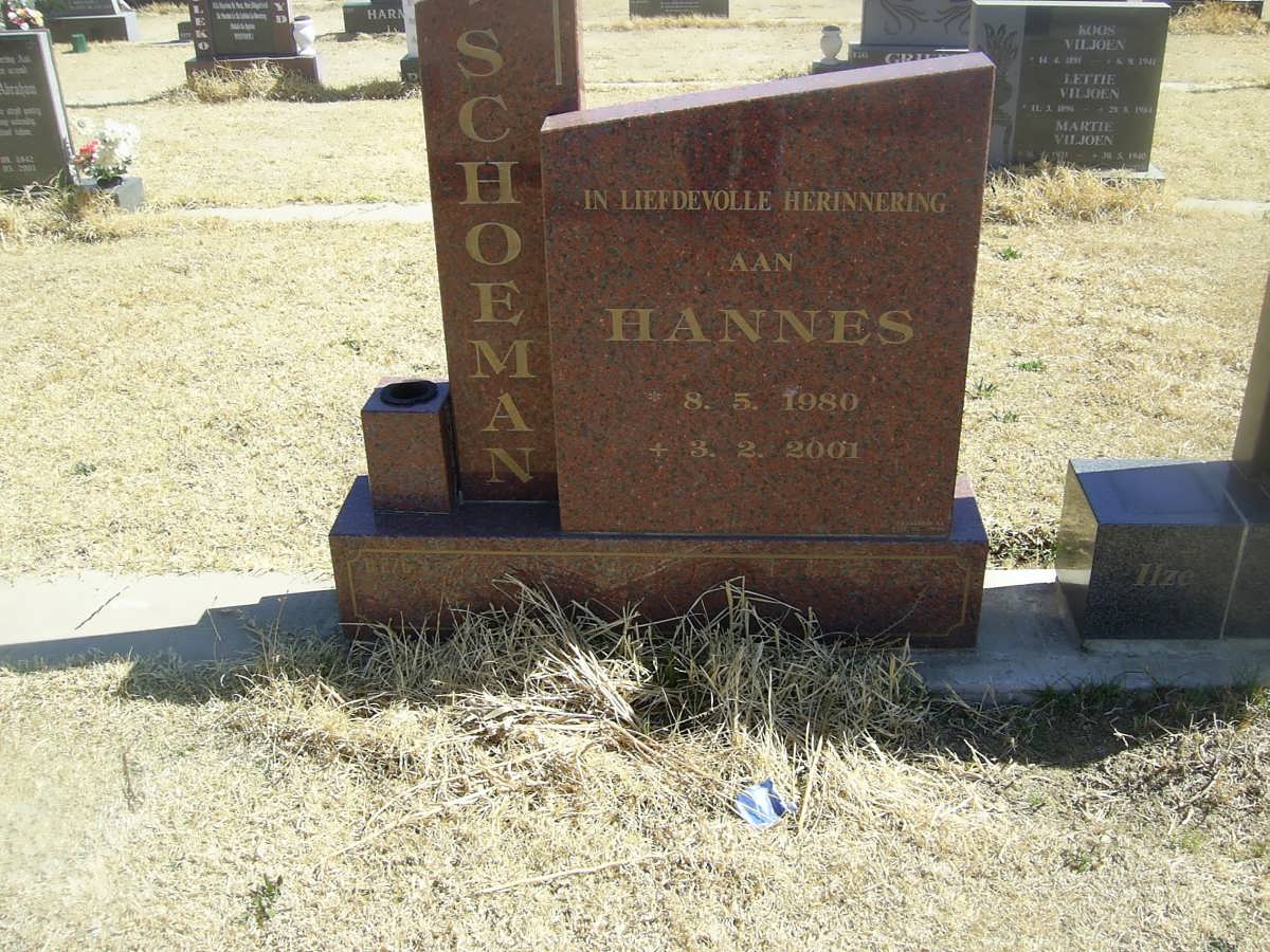 SCHOEMAN Hannes 1980-2001