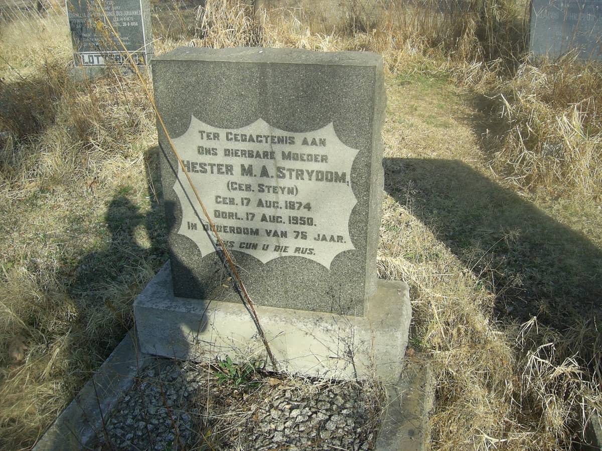 STRYDOM Hester M.A. nee STEYN 1874-1950