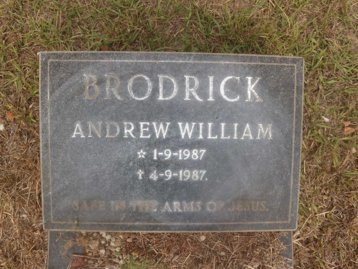 BRODRICK Andrew William 1987-1987