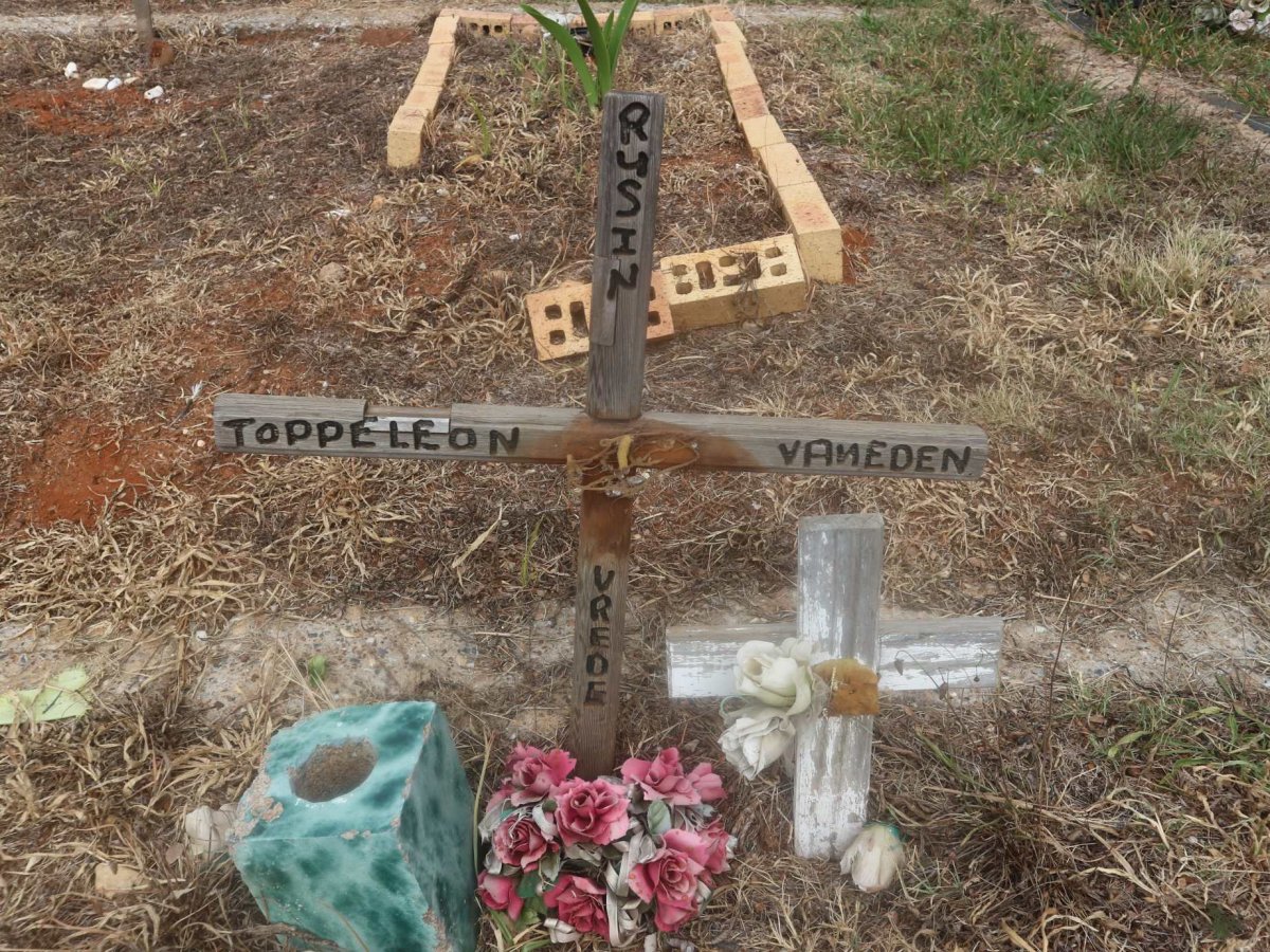 EDEN Toppe Leon, van