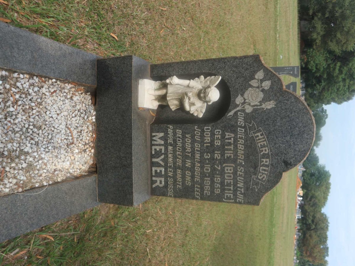 MEYER Attie 1959-1962