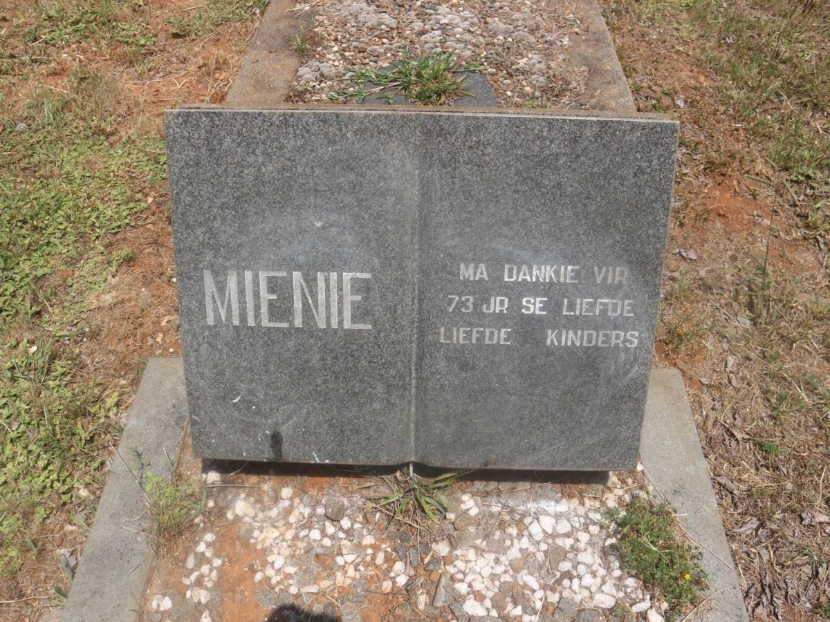 MIENIE
