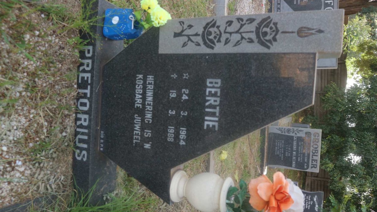 PRETORIUS Bertie 1964-1988