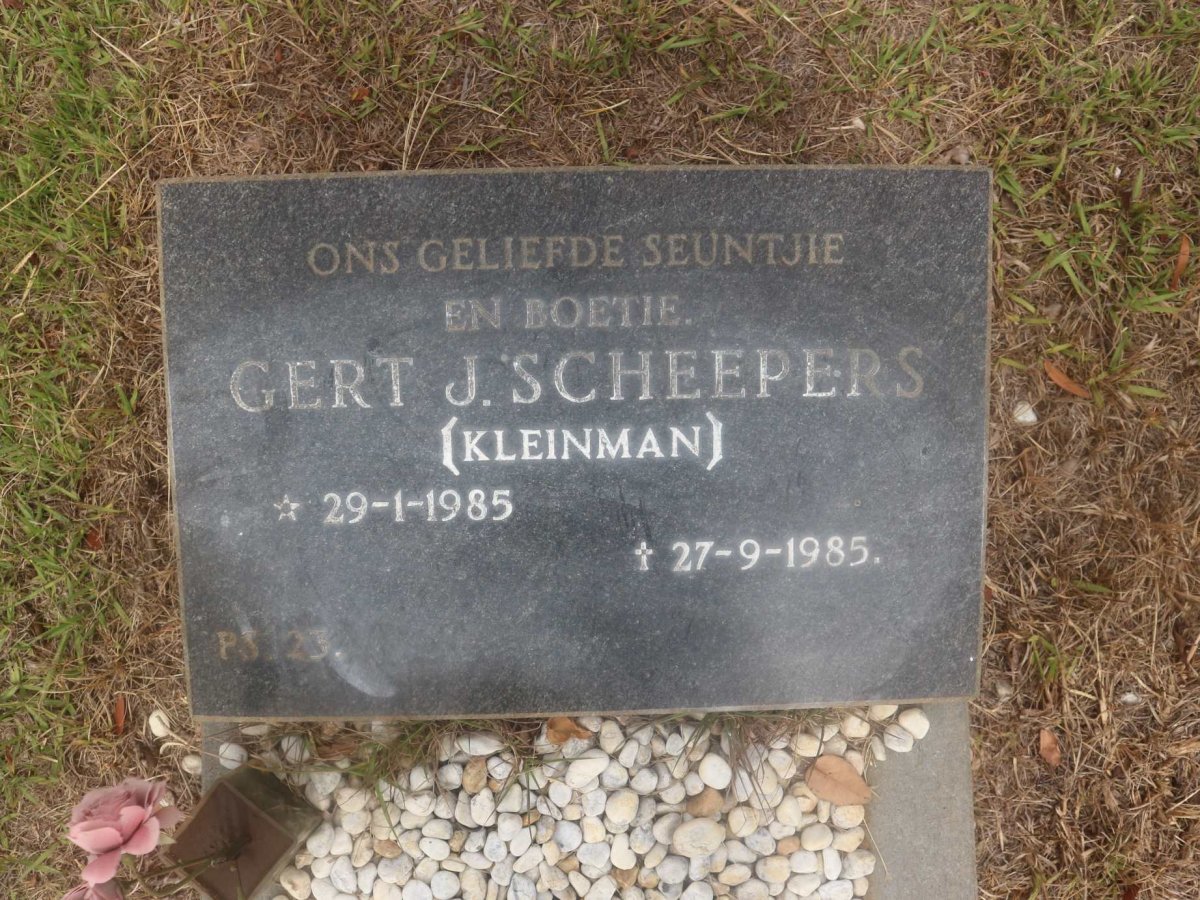 SCHEEPERS Gert J. 1985-1985