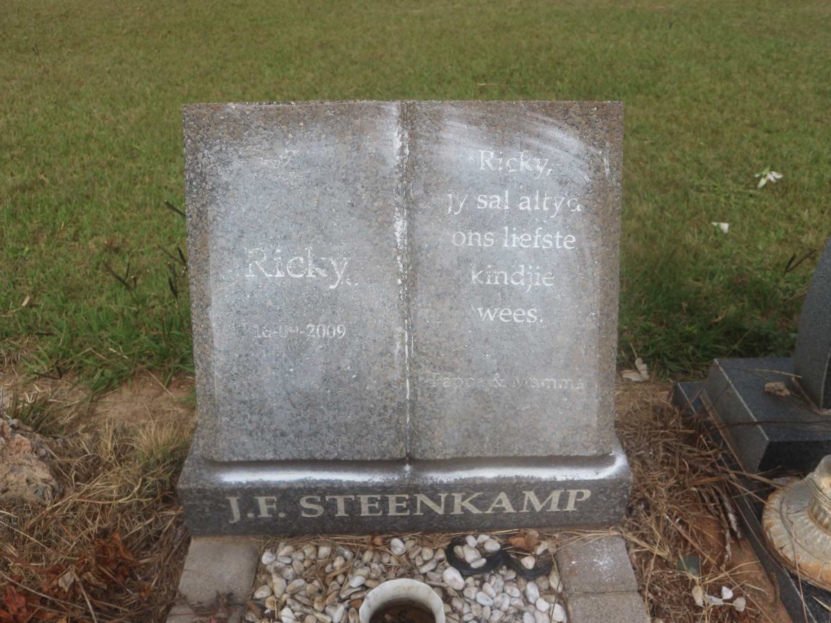STEENKAMP J.F. 2009-2009