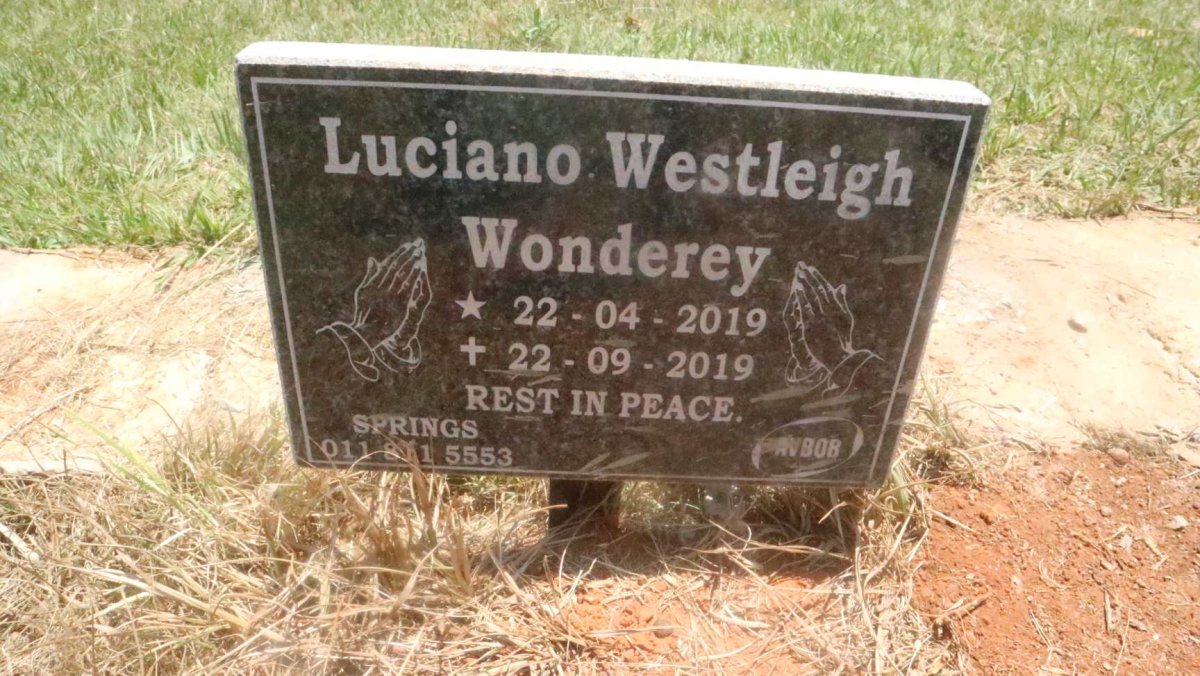 WONDEREY Luciano Westleigh 2019-2019