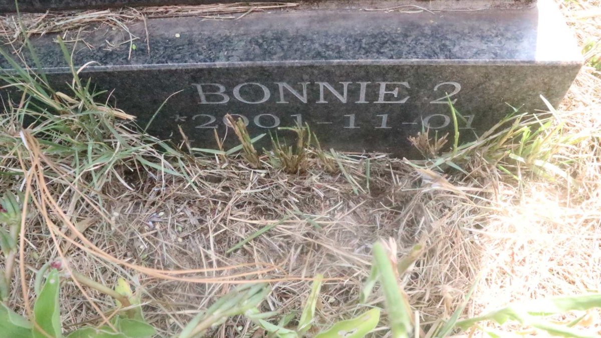 WHYMARK Bonnie 2001-