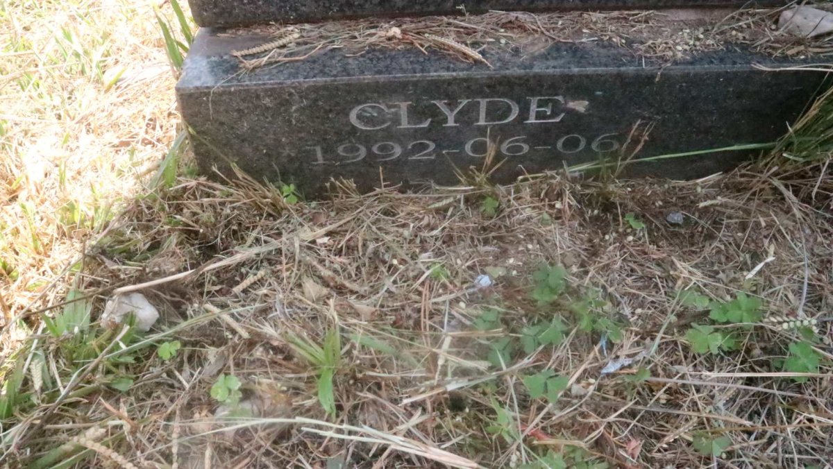 WHYMARK Clyde 1992-