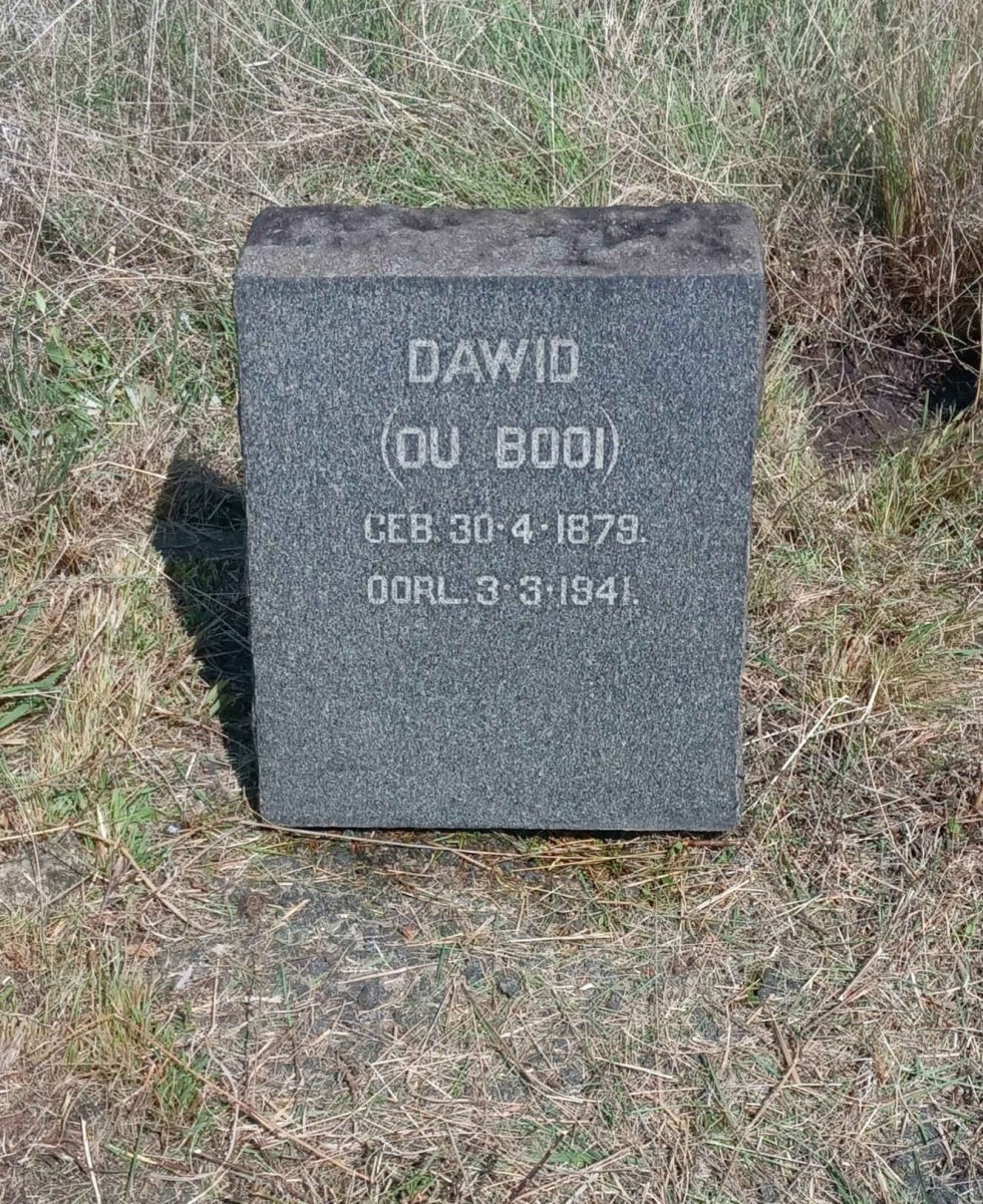 Dawid 1879-1941