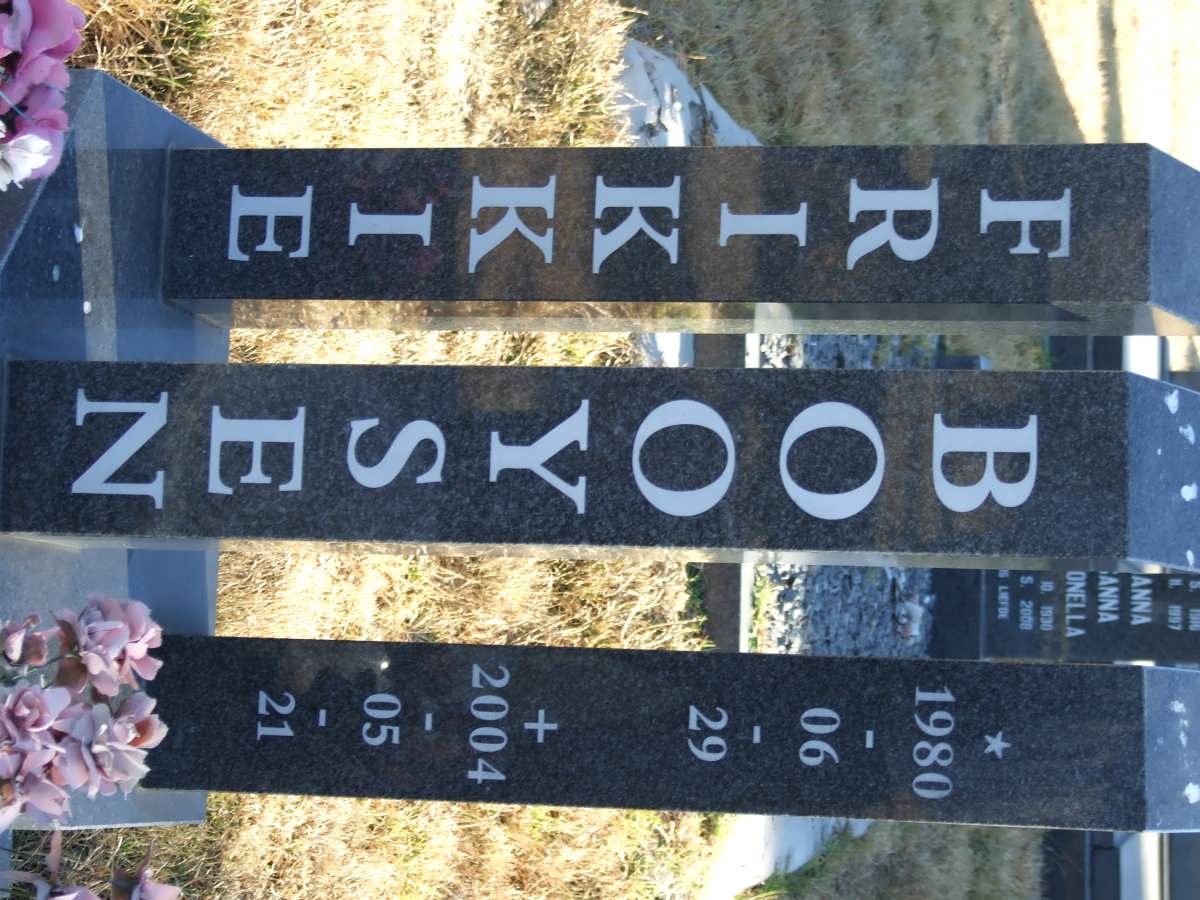 BOOYSEN Frikkie 1980-2004